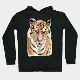 Tiger Watercolor Hoodie